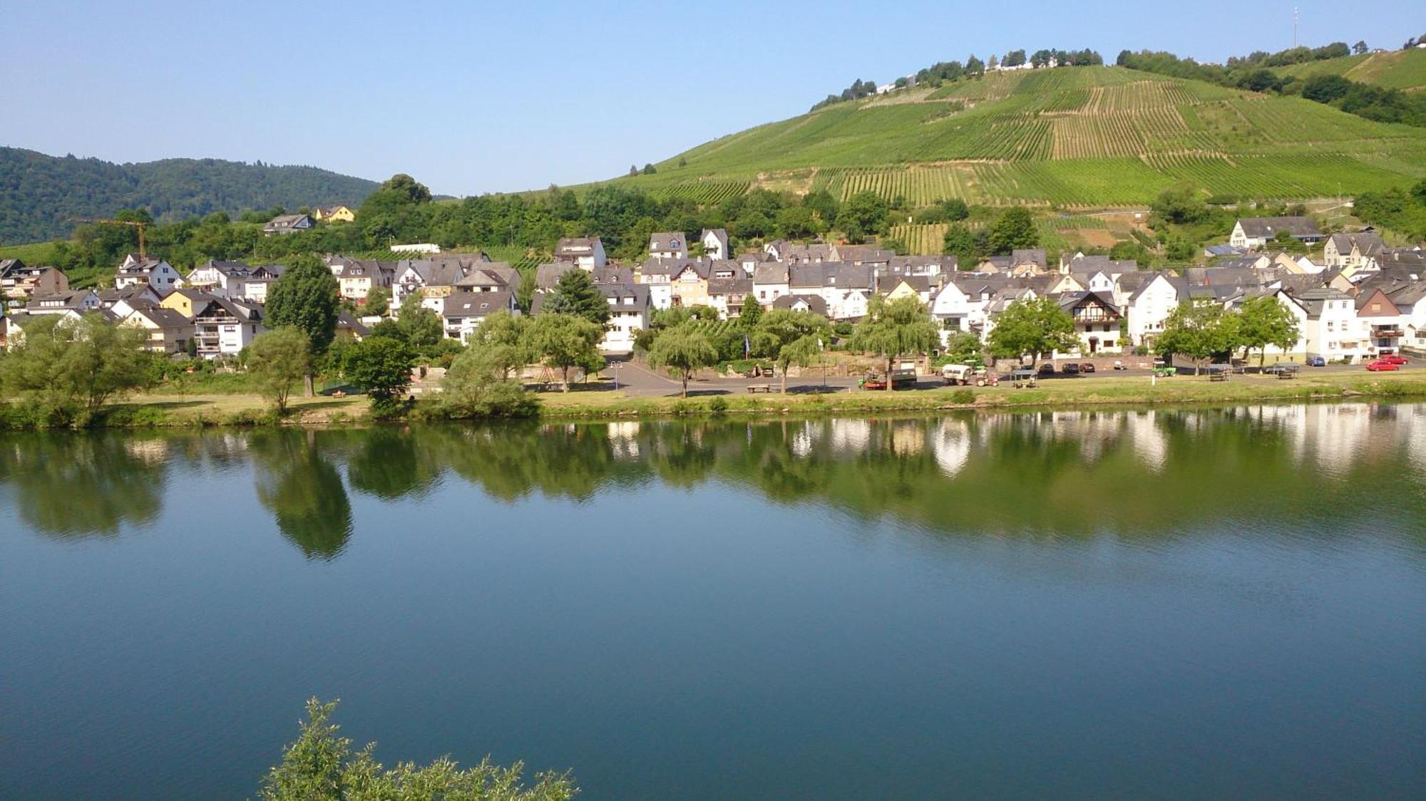 Mosel View Zell an der Mosel Quarto foto