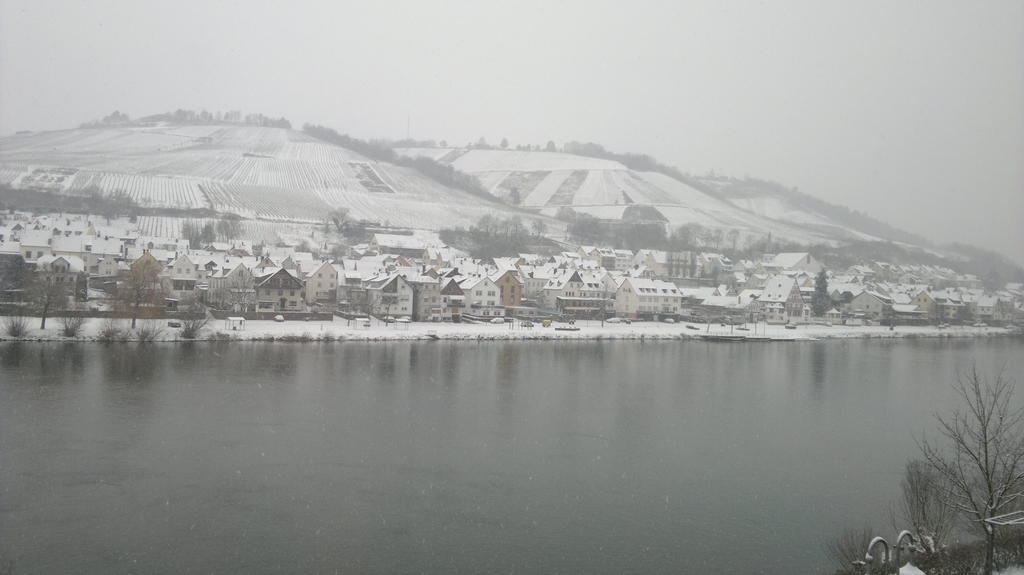 Mosel View Zell an der Mosel Exterior foto