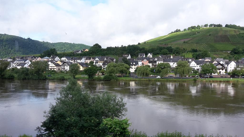 Mosel View Zell an der Mosel Exterior foto
