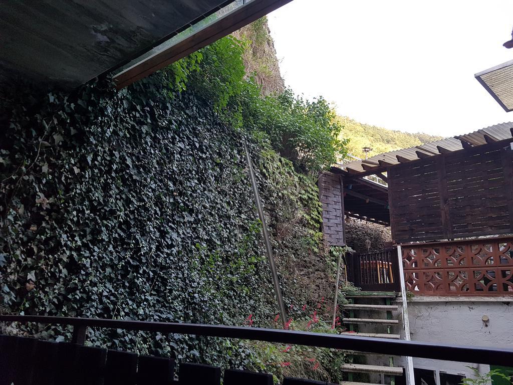 Mosel View Zell an der Mosel Exterior foto